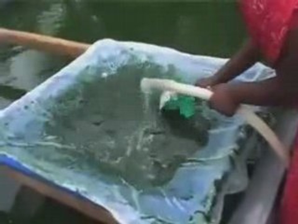 Visit a local culture of spirulina in Madurai