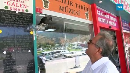 Emekli doktor ve sahiplendiği yavru karganın dostluğu