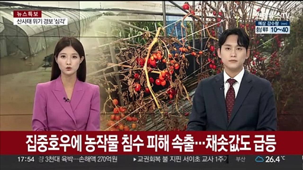 집중호우에 농작물 침수 피해 속출…채솟값도 급등