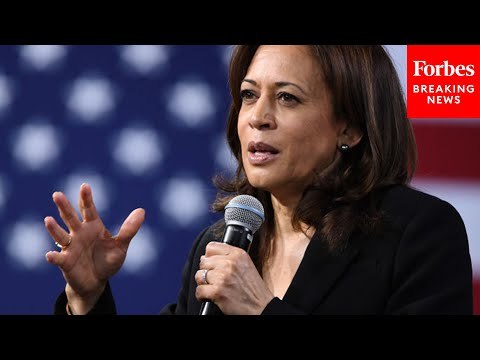 JUST IN: Vice President Kamala Harris Delivers Remarks At Campaign Event In Kalamazoo, Michigan