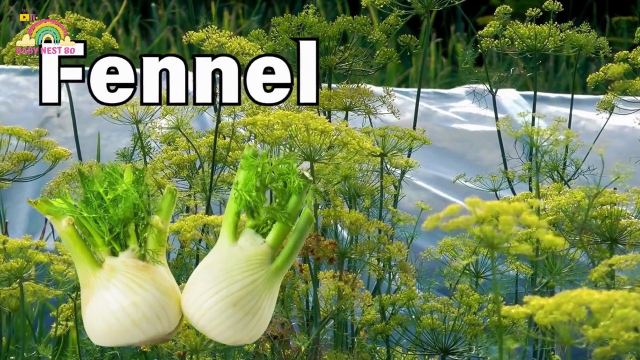 ABC Learn Alphabets with Vegetables  E is for Eggplant, F is for Fennel, G is for Garlic, H is for Horseradish