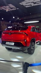 RED COLOR Tata curvv  #tatacurvv #curvvev #curvv2024 