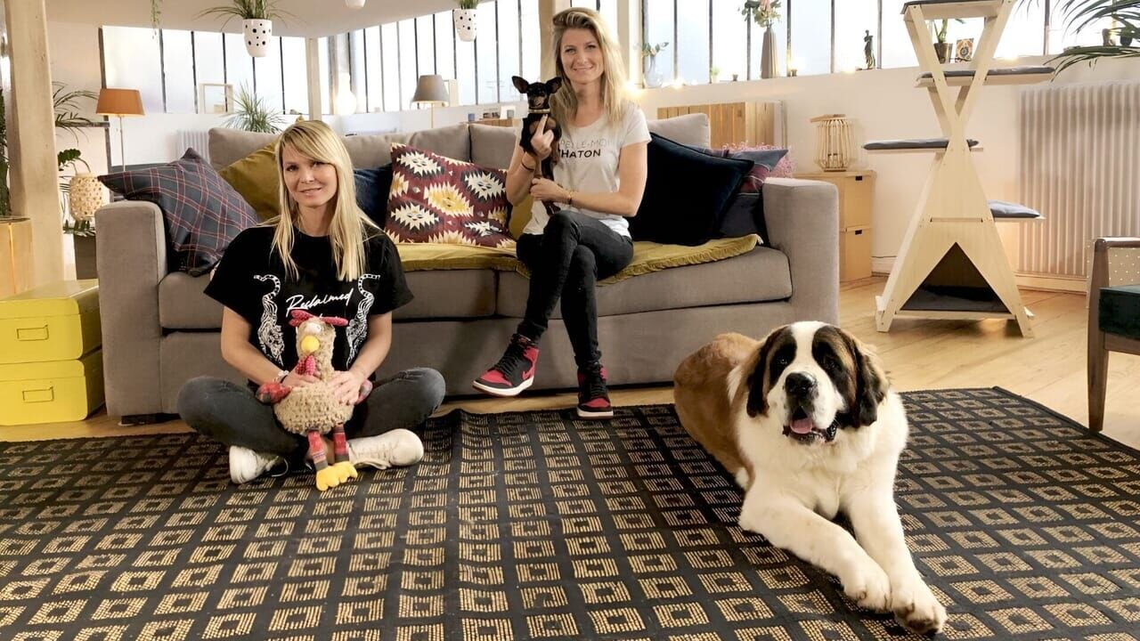 Animaux à adopter : nouvelle famille pour une n...