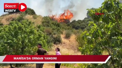 Turgutlu'da orman yangını