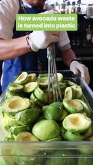 Here is how avocado waste gets transformed into bioplastics #shorts #shortvideo #video #virals #videoviral #innovationhub
