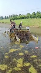 Interesting Cleaning Machine #shorts #shortvideo #video #virals #videoviral #innovationhub
