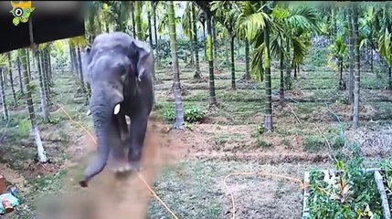 Funny videos entertainment videos mazahiya videos