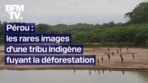 Pérou: les rares images d'une tribu sans contact avec le reste du monde fuyant la déforestation