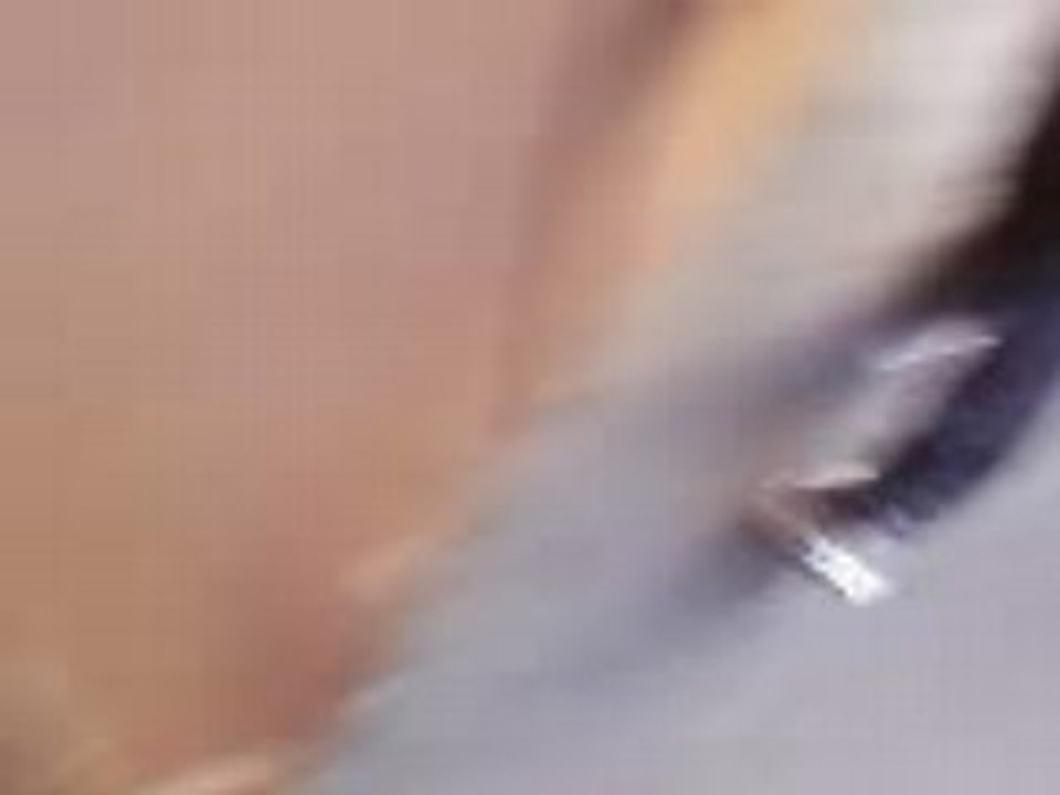 Nous qui guelons dans valenciennes mdrr trop de la merde mdr