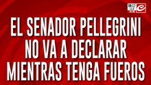 Cas Loan: el senador Pellegrini no va a declarar mientras tenga fueros