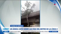Árbol cae sobre las vías de la línea 4 del Metro de la CDMX