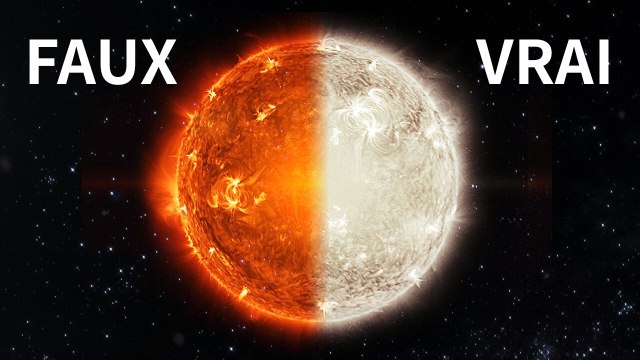 33 Questions Vrai ou Faux Pour Tester Vos Connaissances En Faits Étranges