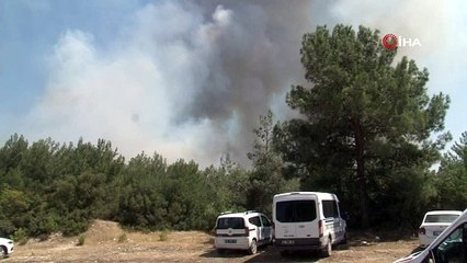 İzmir'in Buca'da orman yangını! Söndürme çalışmaları sürüyor