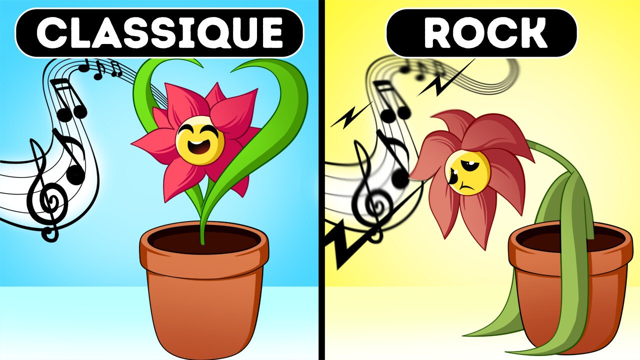 La Musique Façonne Votre Esprit D’une Manière Que Vous Ne Soupçonniez Pas