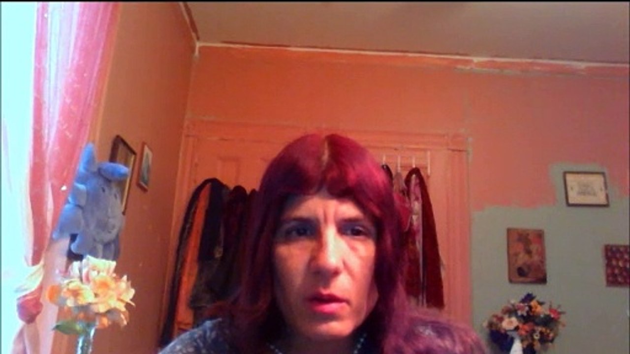 Jill Starr Explicates Her Darko Trifunovic introducing her to Ratko Mladic Book Part VII -