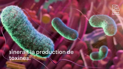 Fréquence des selles : voici ce qu’elle peut dire de votre santé, selon une étude