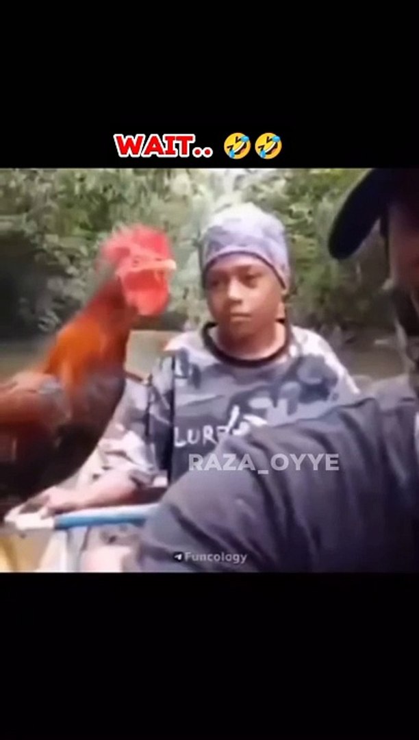 Entertainment funny and comedy videos