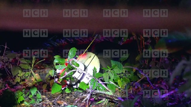 Asesinado hallan a anciano desaparecido tras reclamar bono estatal | Móvil Emergencia TGU