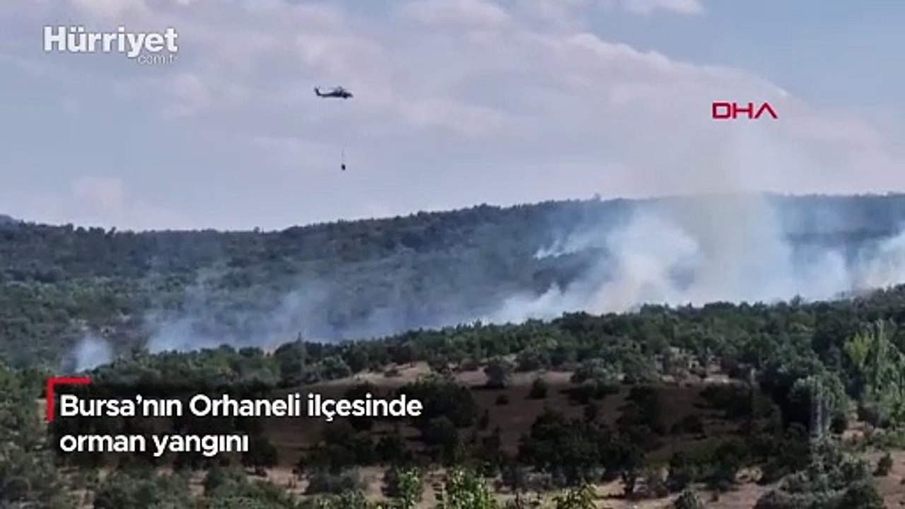 Bursa'nın Orhaneli ilçesinde orman yangını