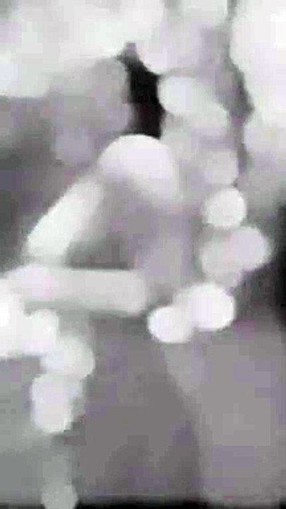 Arabic girl dance, Arabic girl dance in American party