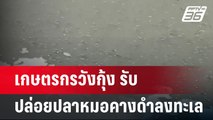 เกษตรกรวังกุ้ง รับ ปล่อยปลาหมอคางดำลงทะเล 2 ตัน! | เข้มข่าวค่ำ | 18 ก.ค. 67