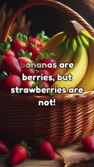 Interesting Facts you didn't know.