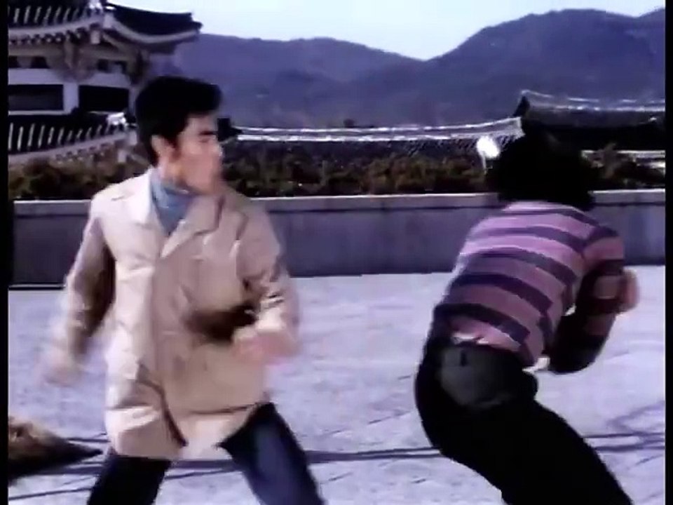 Ninja Terminator