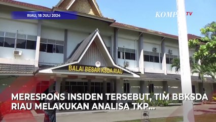 Pekerja Sawit Diduga Kena Terkam Harimau saat Buang Air Kecil, Rekan Korban Histeris