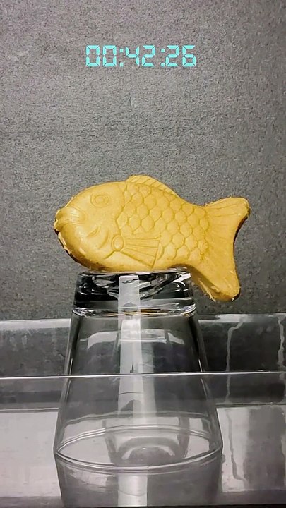 Melting Taiyaki Ice Cream | Timelapse