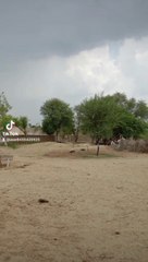 barish ka mausam Joy Karen