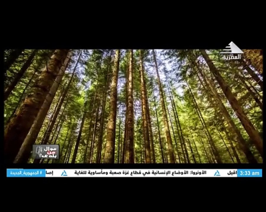 برنامج موال من بلدى - حلقة يوم 17/7/2024