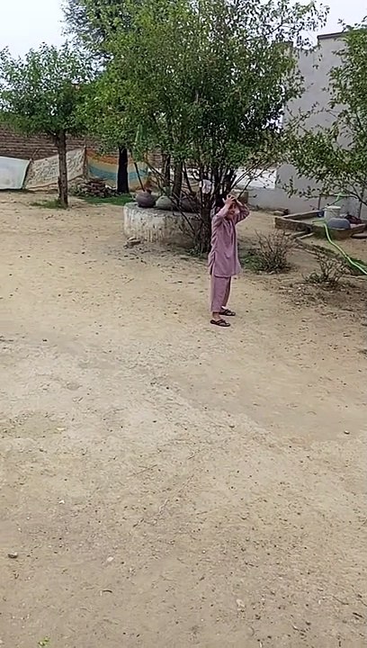 Cricket