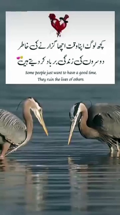منافق لوگ