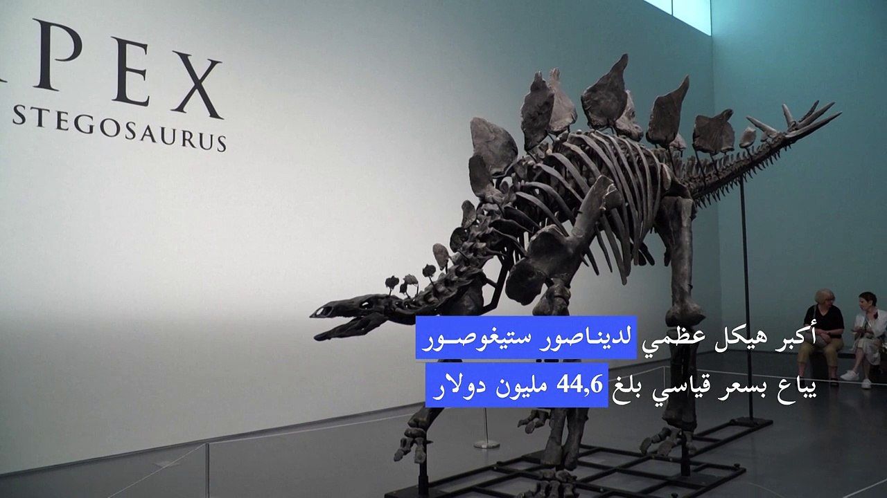 أكبر هيكل عظمي لديناصور ستيغوصور يباع بسعر قياسي بلغ 44,6 مليون دولار
