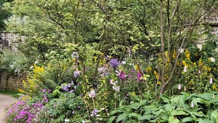 Look around just two of Sheffield's Green Flag award-winning parks