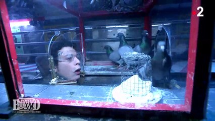 [AVANT-PREMIERE] Fort Boyard 2024 - Tête chercheuse (18/07/2024)