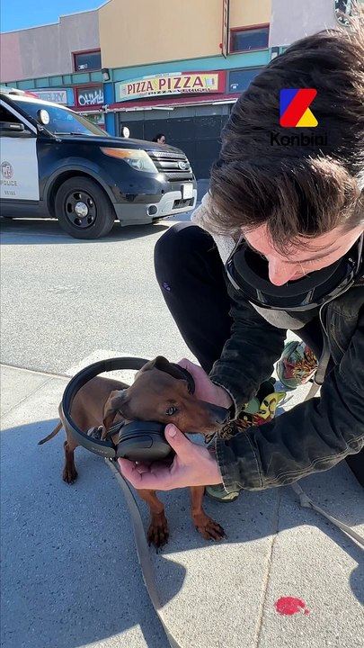 On était à Los Angeles, l'occasion de faire écouter les sons d'Aya Nakamura aux passants. Le verdict : elle a fait l'unanimité 