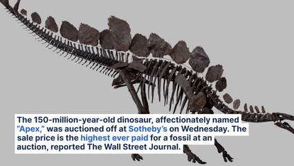 Citadel's Ken Griffin Buys Dinosaur Skeleton For Record $45M Amount: 'Apex Was Born In America And Is Going To Stay In America'