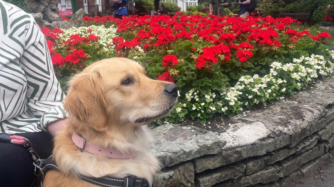 Merseyside Police are taking the lead when it comes to responsible dog owners