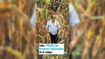 Sube 198.8% las hectáreas siniestradas en el campo