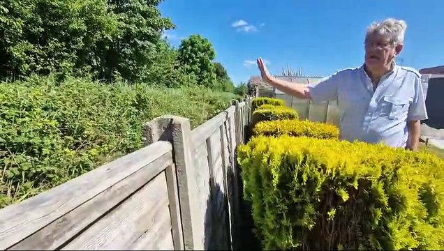 Skegness residents 'losing sleep' over gardens 'slipping into dyke'