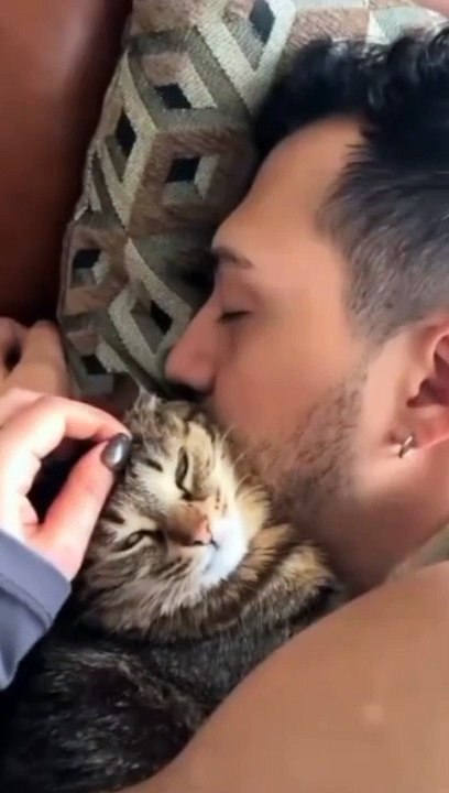 FUnny cats