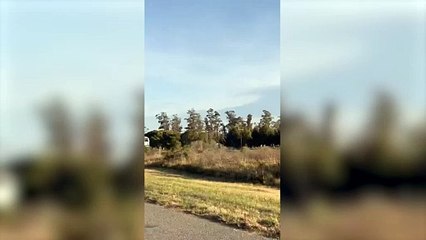 Un tren embistió a un auto en el KM. 385 de la Ruta 2