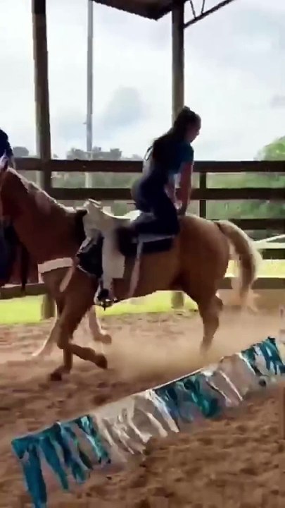 horse