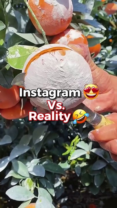 Instagram Vs Reality  #destination #adventuretravel #adventure #expectations #nature