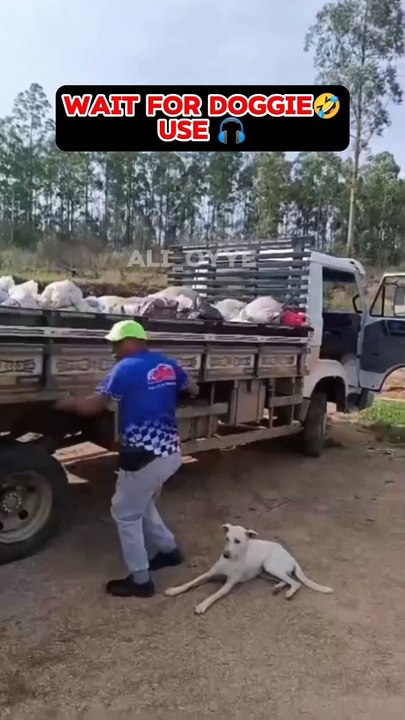 Wait for doggie