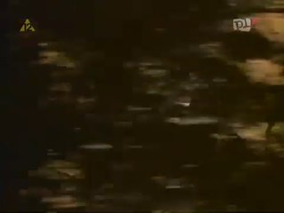 NA TROPACH BARTKA cały film polski 1982