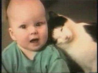 Compilation Ultime de Chats Énergétiques