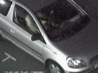 Ne pas trop s'exciter dans une voiture