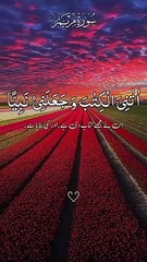 Quran ☘️swo beutyfull views